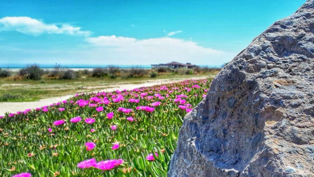 Playas de Vera Apartamento Soleado Vera Costa, 200 M De La Playa מראה חיצוני תמונה